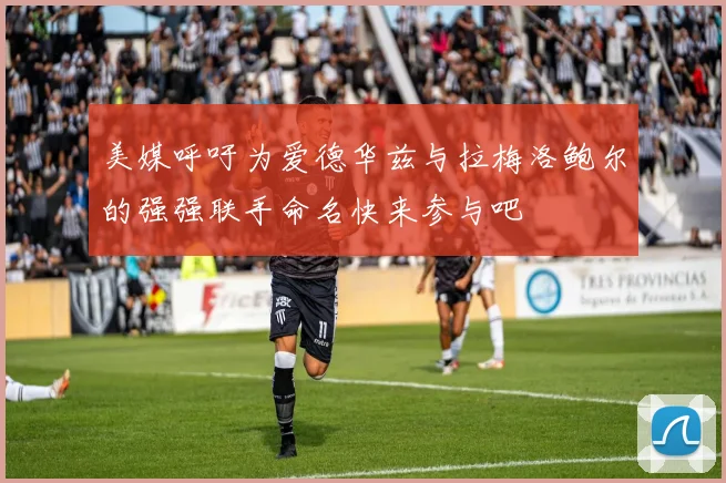 美媒呼吁为爱德华兹与拉梅洛鲍尔的强强联手命名快来参与吧