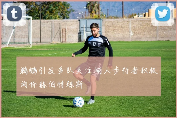 鹈鹕引发多队关注湖人步行者积极询价赫伯特琼斯